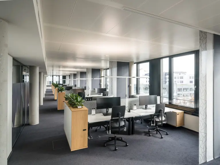 Die Homezone im Showroom von offino, Experte für nachhaltige Raumgestaltung – ein langer, breiter Gang vor einer Fensterwand, befüllt mit gleichmäßig zueinander platzierten Schreibtischen mit Arbeitsmöglichkeiten und Dekorationspflanzen