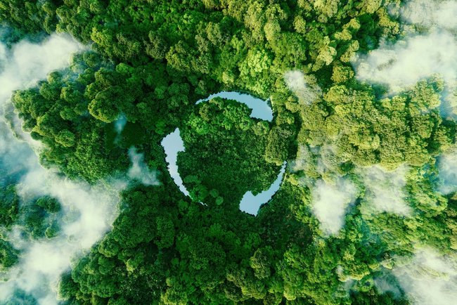 Vogelperspektive eines dichten Waldes mit grünen Baumwipfeln, die das gesamte Bild bedecken. Die Lichtungen der Baumwipfel auf Seen innerhalb des Waldes bilden das Recycling-Zeichen